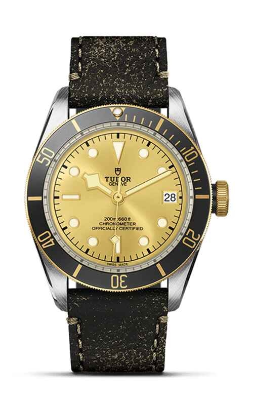 TUDOR Black Bay Watch M79733N-0003