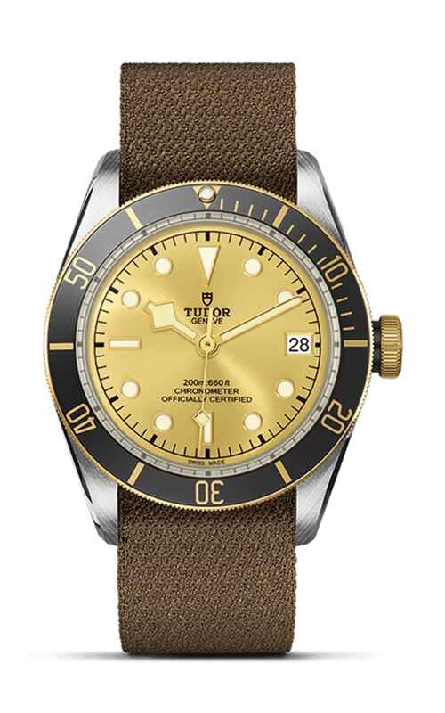 TUDOR Black Bay Watch M79733N-0006