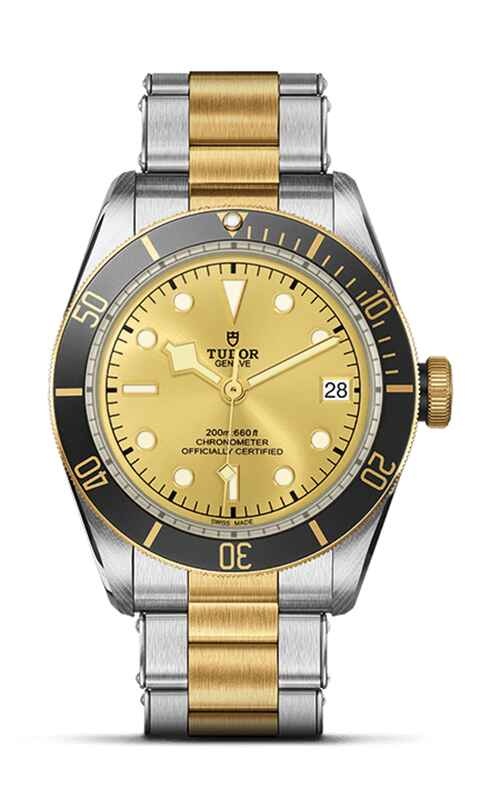 TUDOR Black Bay Watch M79733N-0004
