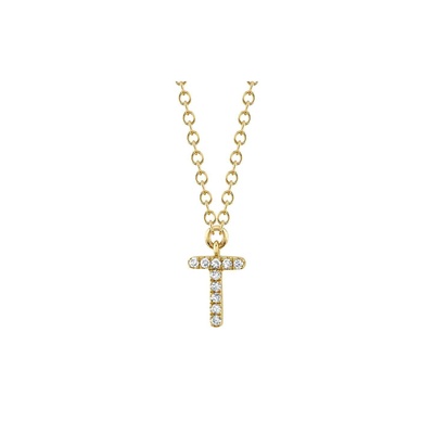 Shy Creation  Necklace SC55007904-T