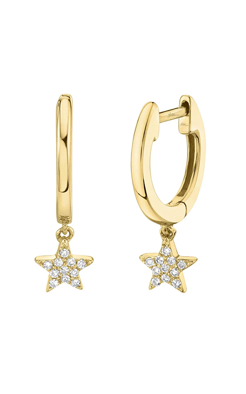 Shy Creation  Earrings SC22004812V2