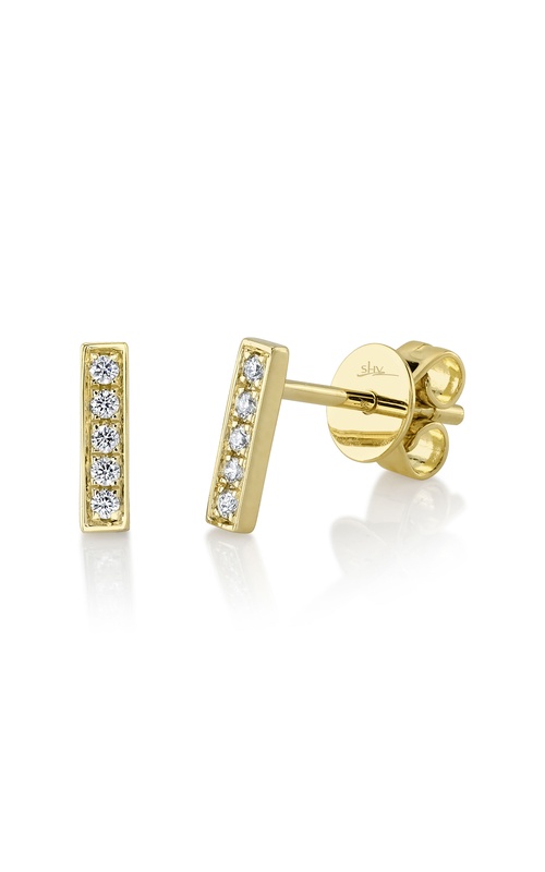 Shy Creations Earrings SC55002206