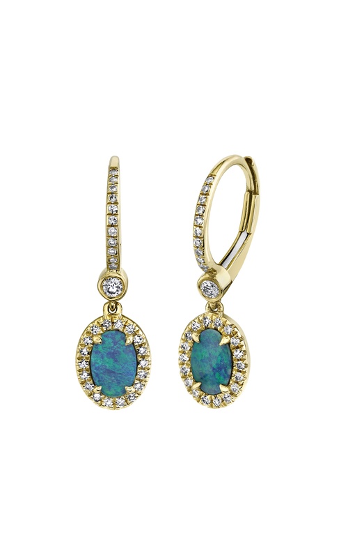 Shy Creation Earring SC55020756