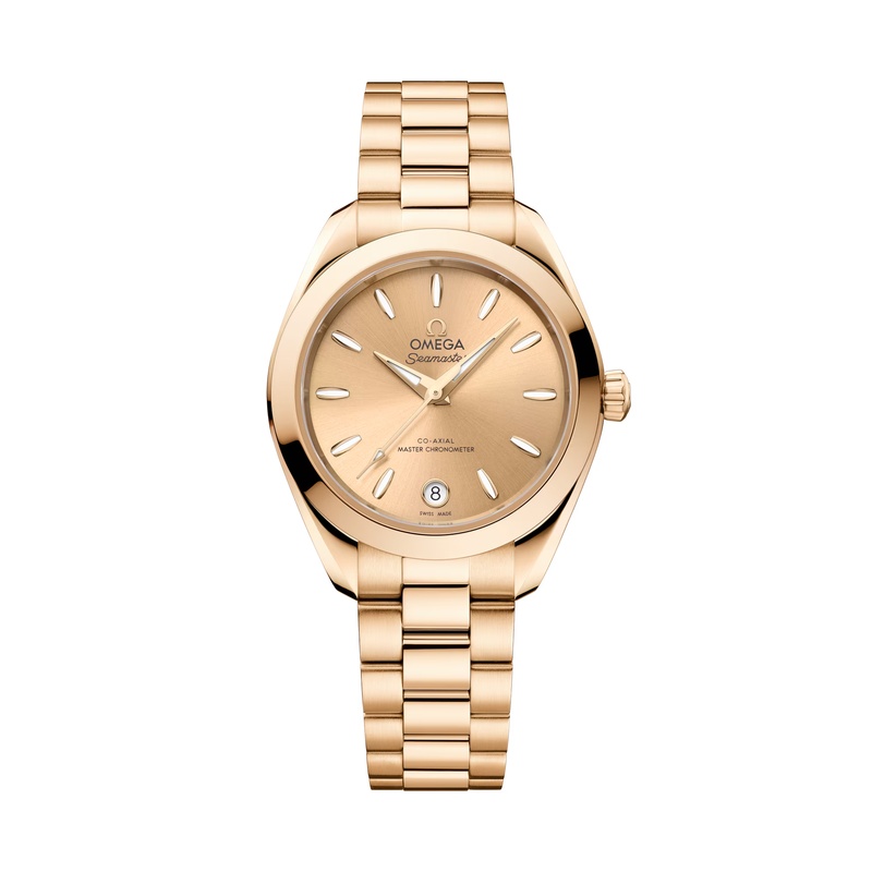 Seamaster Watch 220.50.30.20.08.001