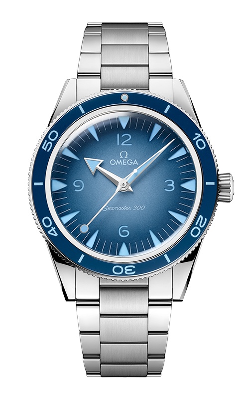 Omega Seamaster Watch 234.30.41.21.03.002