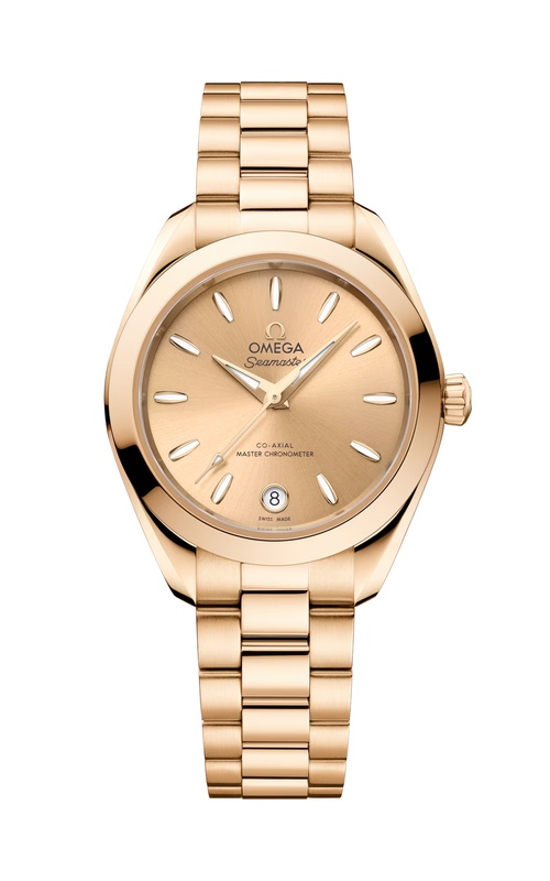 Omega Seamaster Watch 220.50.30.20.08.001