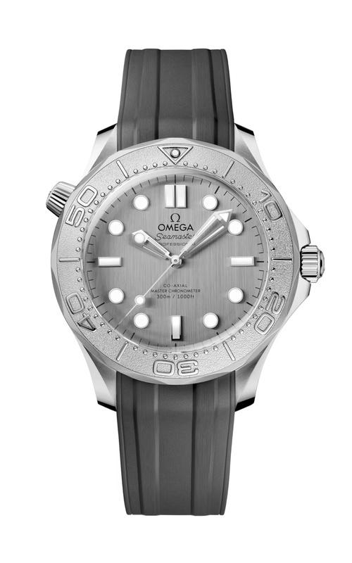 Omega Seamaster Watch 210.32.42.20.06.002