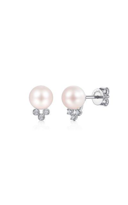 Gabriel & Co. Grace Earrings EG14089W45PL