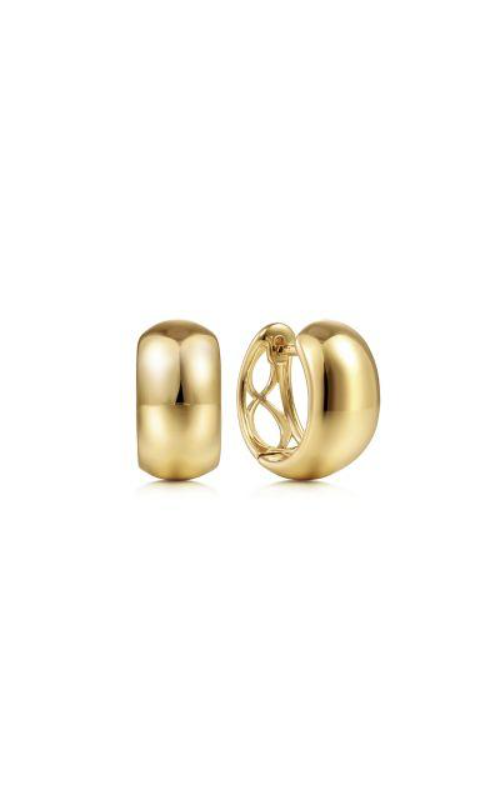 Gabriel & Co. Contemporary Earrings EG14012Y4JJJ