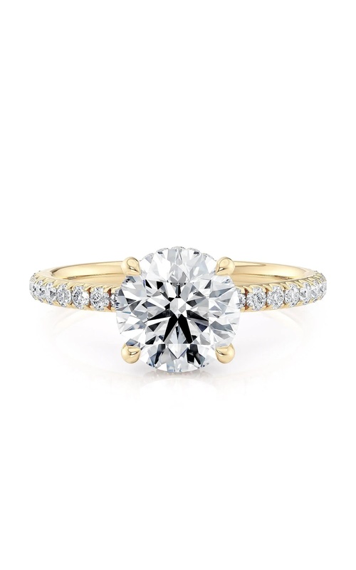 Michael M Ring  R788-1.5