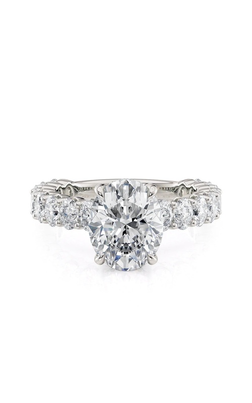 Michael M Ring  R795S-3
