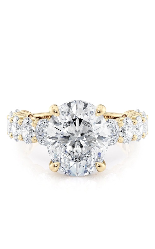 Michael M Ring  R795-4