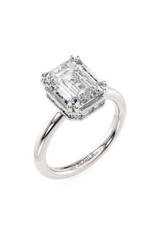 Michael M Ring  R809-3