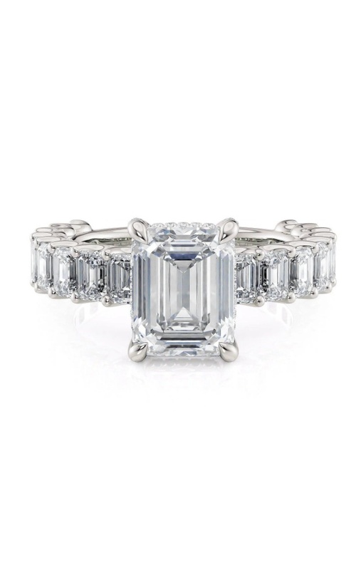 Michael M Ring  R810-2.5