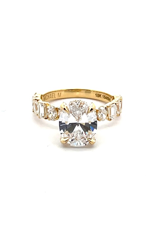 Michael M Ring  R814-3