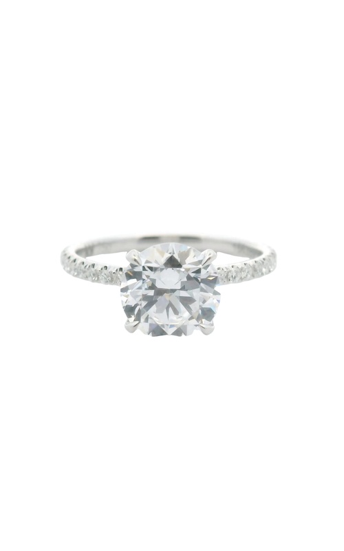 Michael M Ring  R706-2
