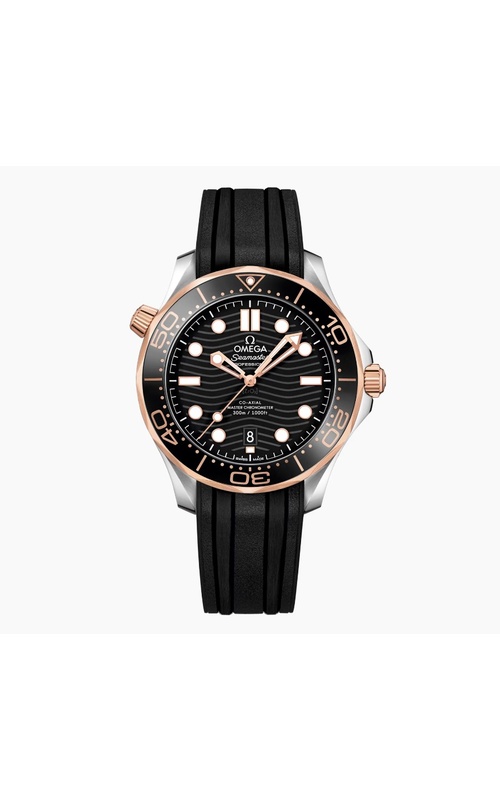 Omega Watch  O21022422001002 Omega Watch  O21022422001002