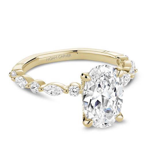 Noam Carver Engagement Ring A091-02YS-FCYA