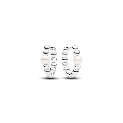 らす Pandora Sparkling Circle Stud Earrings 280585CZ