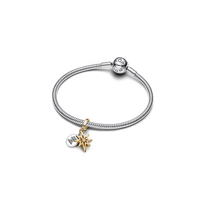 Pandora Engravable North Star Lab-grown Diamond Dangle Charm 763588C01