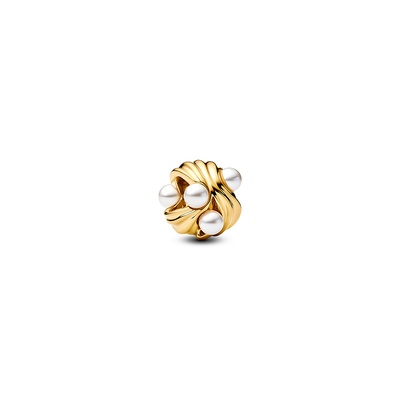Pandora Abstract Waves Charm 763915C01