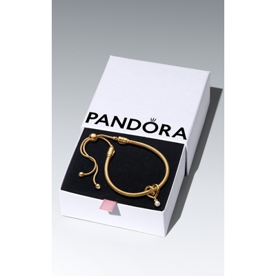 Pandora Golden Heart Bracelet Gift Set B802656