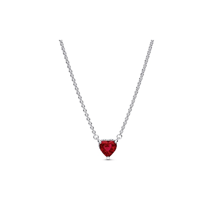 TIFFANY&Co. Collier Pendentifs Fleur de Hamard Paloma Picasso Argent