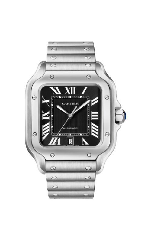 Santos de Cartier Watch WSSA0096