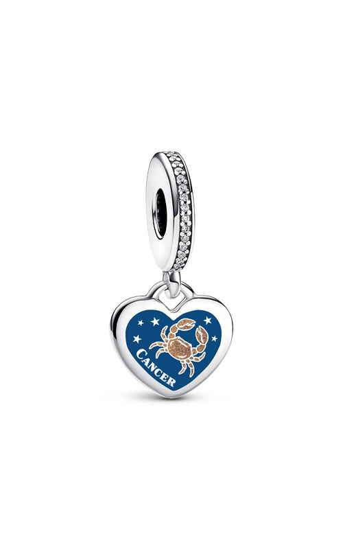 Pandora Cancer Dangle Charm ENG798761C01_29