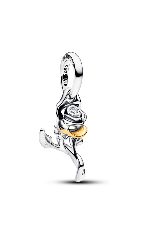 Pandora Cancer Dangle Charm ENG798761C01_29