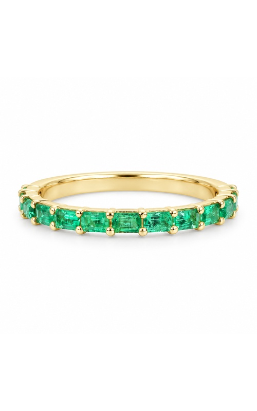 Albert's 14k Yellow Gold .65ctw Emerald Cut East West Fancy Cut Band AJ-R22250YG