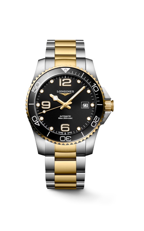 Longines Conquest Watch L37204926