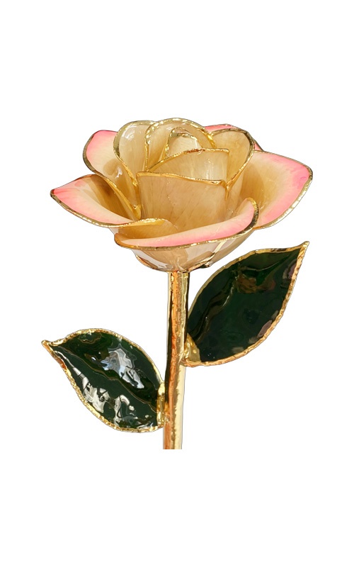 Albert's Lacquer Dipped Gold Trimmed Pink Gradient Rose With Box and Stand DY-5B-A-AU-44