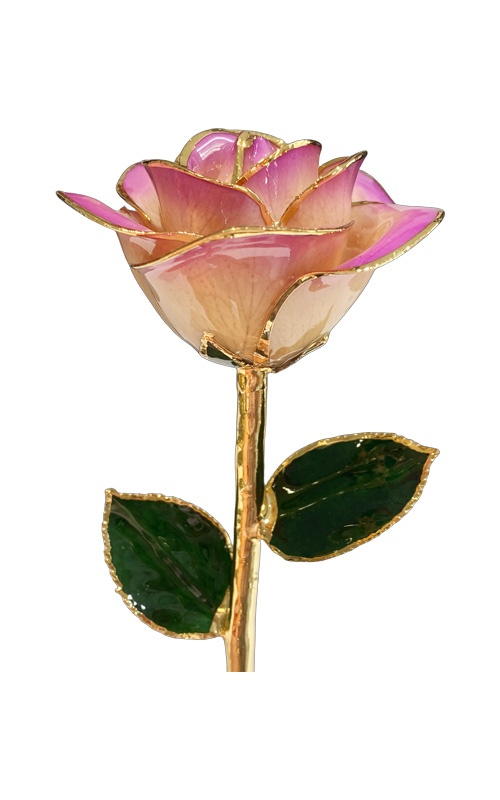 Albert's Lacquer Dipped Gold Trimmed Purple Gradient Rose With Box and Stand DY-5B-A-AU-57