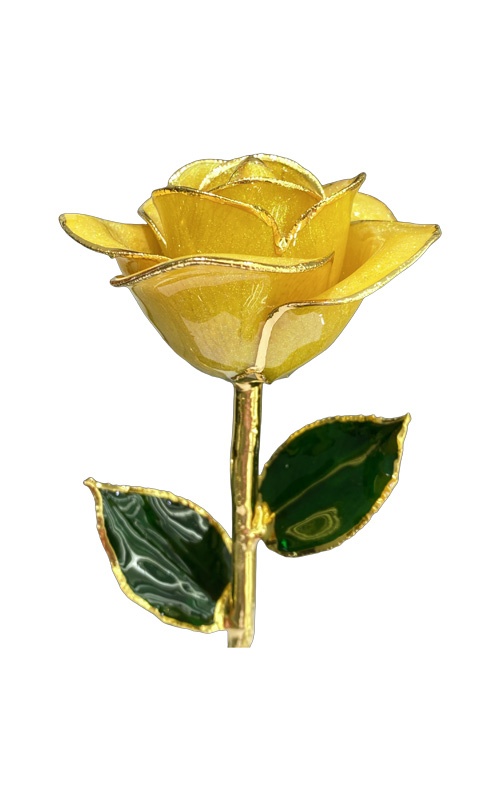 Albert's Lacquer Dipped Gold Trimmed Lemon Starburst Rose With Box and Stand DY-5B-A-AU-81