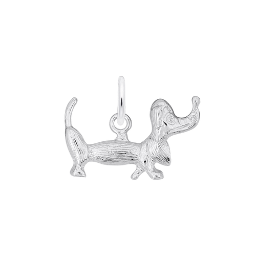 Rembrandt Charms  Charm 1923