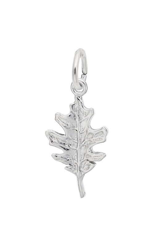 Rembrandt Charms  Charm 8313