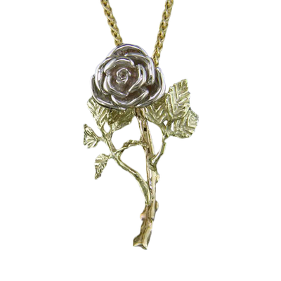Steven Douglas  Necklace FLP785W