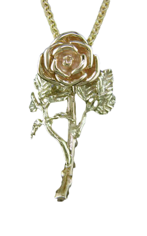 Steven Douglas  Necklace FLP785Y