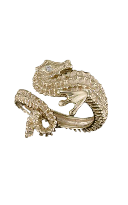 Steven Douglas  Ring SLR080