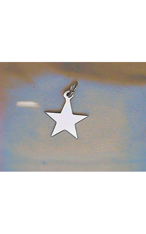 Silver Charms 3484-0