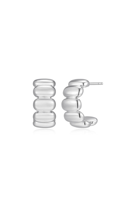 Silver Earrings RE0191W