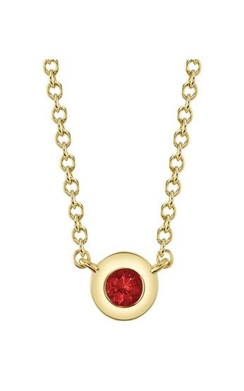 Colored Stone Necklace SC55026481