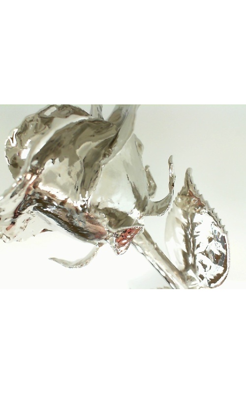 Giftware - Misc 61-9165