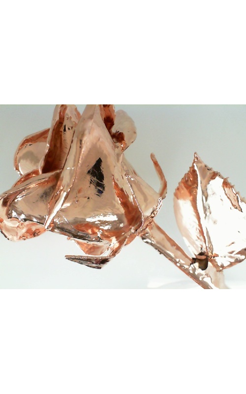 Giftware - Misc 61-9170