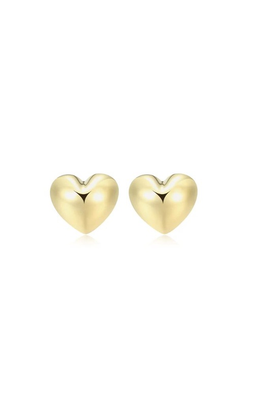 Silver Earrings RE0127Y