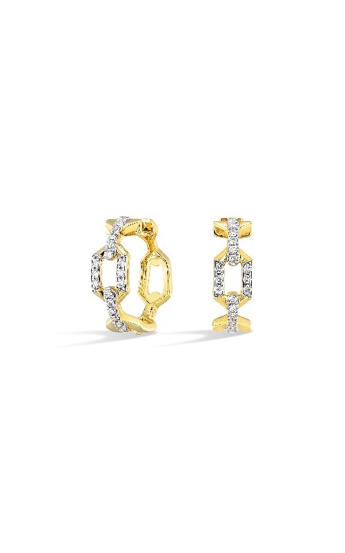 Rottermond Signature Earrings  ER11206-4YC