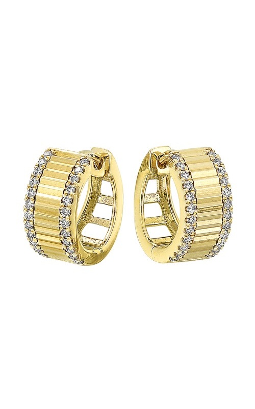 Rottermond Signature Earrings  ER40381-4YB