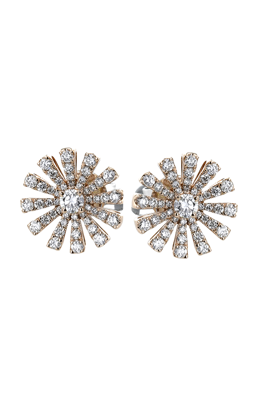 Zeghani  Earrings Ze861