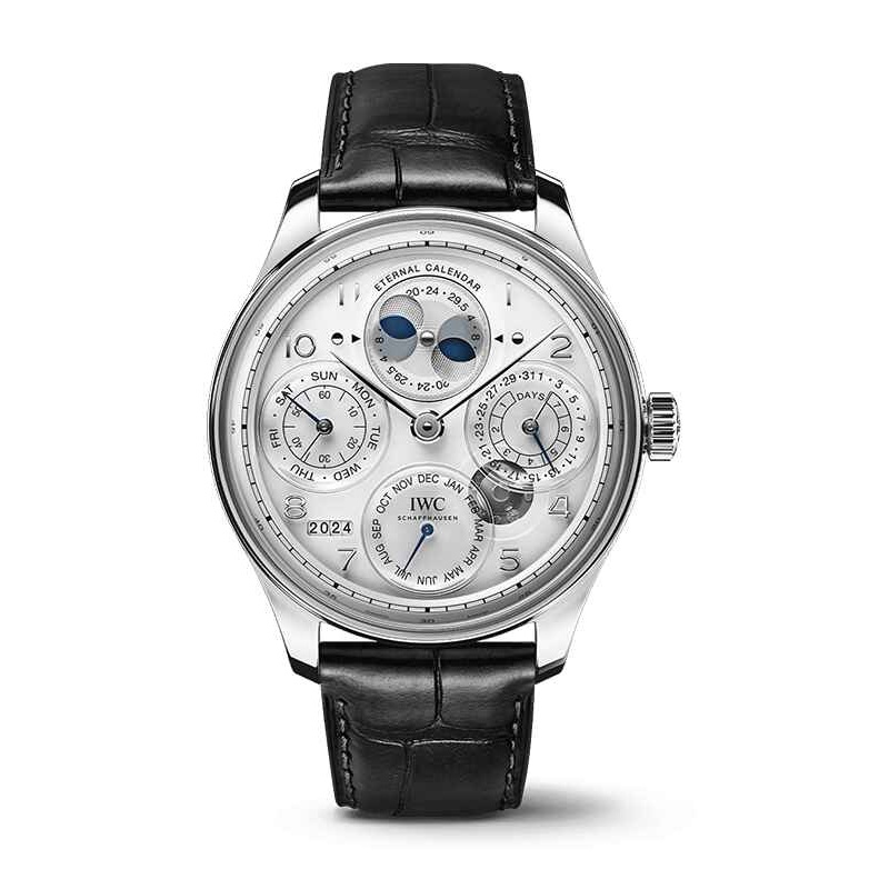 Portugieser Watch IW505701